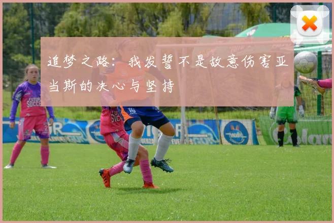 追梦之路：我发誓不是故意伤害亚当斯的决心与坚持