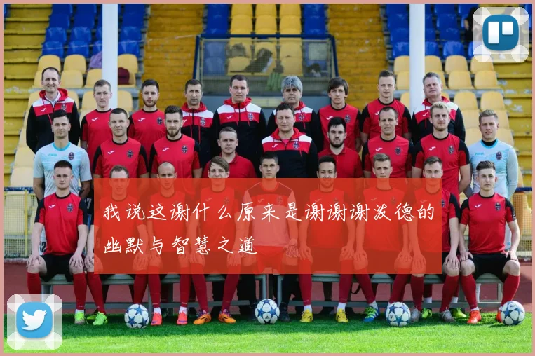 我说这谢什么原来是谢谢谢泼德的幽默与智慧之道
