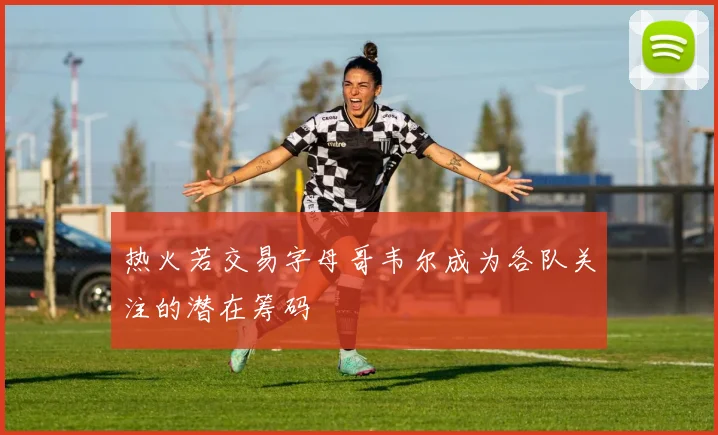 热火若交易字母哥韦尔成为各队关注的潜在筹码
