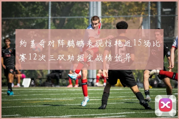 约基奇对阵鹈鹕表现惊艳近15场比赛12次三双助掘金战绩优异